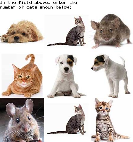 captcha to verify human, not robot