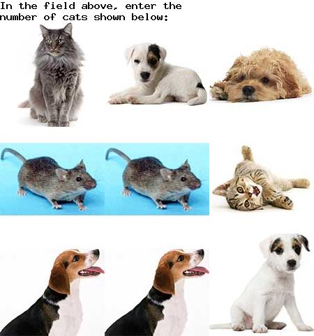 captcha to verify human, not robot
